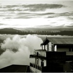 DARJEELING 2008