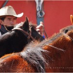 COTOPAXI 2010