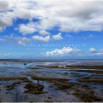 CAIRNS QLD AUSTRALIA 2008