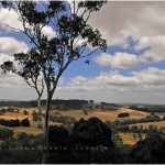 HANGING ROCK VIC AUSTRALIA 2008