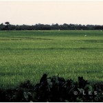 TONLE SAP LAKE CAMBODIA 2007