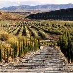 ALMERIA DESERT SPAIN 2010