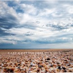 90 MILE BEACH AUSTRALIA 2010