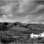 ORO DEL DESIERTO, ALMERIA DESERT 2010