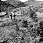 ORO DEL DESIERTO, ALMERIA DESERT 2010