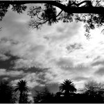 MELBOURNE SOUTH YARRA 2009