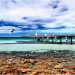 Kangaroo Island - Australia - 36 x 24 cm - [CODE: 002]