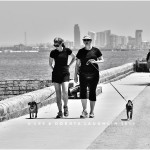LD-Laughlin-Photography-City-of-Dogs-2-09